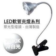 LED夾燈系列-5眼聚光型,冷白光(7000K),花朵款【台灣製】(** 工作燈 檢查燈 檯燈 軟管燈 蛇管燈 彎管燈 閱讀燈 露營燈 蛇燈 折燈)