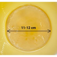 11-12 cm (min weight 90g) Kombucha Starter / Scoby / Cendawan Mekah with 250ml Starter Tea. Get FREE