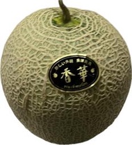 香華洋香瓜種子、哈密瓜種子、哈蜜瓜種子：家坤種子專賣店