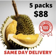 Yellow Yellow D24 Fresh Durian *5 packs* (350g- 400g /pack)