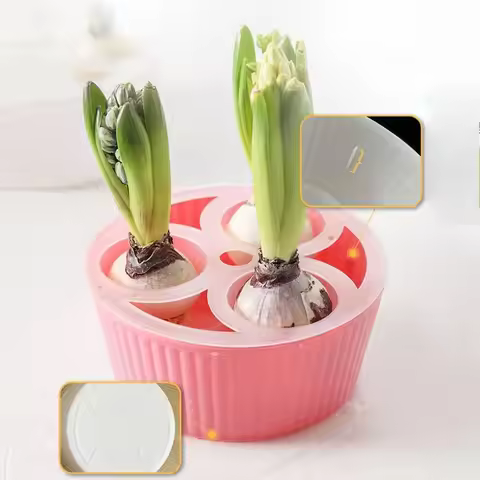 Tulip Bulbs Special Hydroponic Flowerpot Hyacinth and Narcissus Seeds Three Hole Flowerpot Vessel Ga