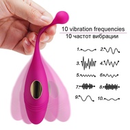 ☢♦HWOK Panties Wireless Remote Control Vibrator Vibrating Egg Wearable Dildo