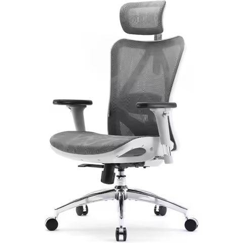 High Back Home Desk Chair with 3D Armrests, Lumbar Support and Adjustable Headrest，SIHOO M57 Ergonom