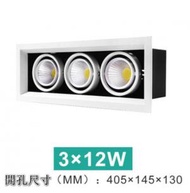 CW - LED天花筒燈【3*12W】【白光】