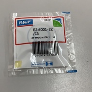 SKF Bearing E2.6001-2Z/C3