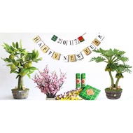 [HIGH QUALITY REAL MEDICINE] Tabletop custard apple tree (Nasa tree)