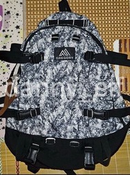 大熱之選👍🏻Gregory  DAY 1/2 Day & Half Day and Half 33L Treeline Camo 白樹紋 白花 新Logo V1 第一版 Backpack 書包 背囊 