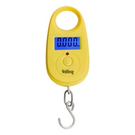 Mini Digital Scale 5g-25kg Electronic Fishing Luggage Scales LCD Mini Scales