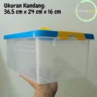 Mini Container Cage for Cockroaches Dubia Caterpillars Gecko Reptile Food BD TMS