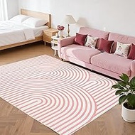 Washable Area Rug 4x6 Modern Line Living Room Rug Abstract Rainbow Rugs Nonslip Soft Floor Carpet fo