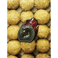 🥚🐣【Century Duck Egg 溏心鸭皮蛋】🐣🥚10pcs/box Joo Hong Chan Century Egg 裕丰栈皮蛋