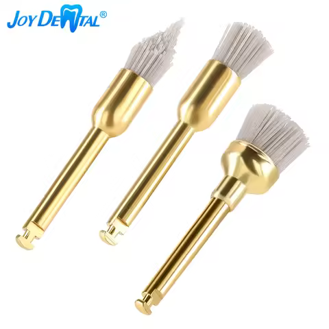 20Pcs/Bag Dental Silicon Carbide Aluminium Oxide Polishing Brush Dental Flat Teeth Polisher Prophy B