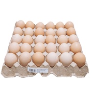 Egg Grade B , C, kampung Grade B , Kampung Grade C Egg 30’s
