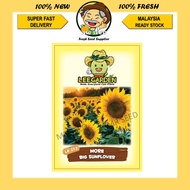 BIJI BENIH BUNGA MATAHARI BESAR Sunflower Seeds Benih Bunga Matahari  太阳花种子