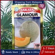 HOT & NEW STOCK  Paket 100 Seeds GLAMOUR Sakata Seed Japan Biji Benih Tembikai Susu Manis Jepun F1 H