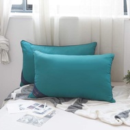 Set Of 2 Hiillton High Quality Cotton Pillows, Soft Pillows