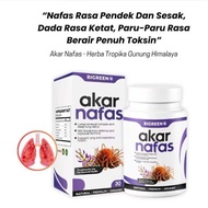 [ 100% ORIGINAL ] Akar Nafas Gunung Himalaya