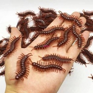 8pcs Rubber Centipede casting Fishing Bait
