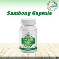 SAMBONG Capsule (NatureMed Sambong Capsule) | Kidney Stone Kidney Problem | 500mg100 Capsule