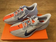 Nike Pegasus Plus 男款慢跑鞋 US 10 , 100%全新 正版