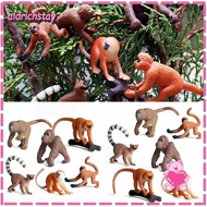 EXODUS 6PCS Lifelike Monkey Model Zoo Scenes Science  Early Learning Simulation Gibbon Cubs