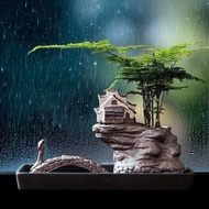 Asparagus Fern Bonsai Greenery Flower Pot Impression Jiangnan Purple Sand Zen Ornament New Chinese C