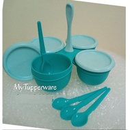 Tupperware Condimate Set bekas hidang blossom serving
