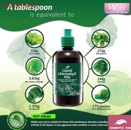 Nn Liquid Chlorophyll Plus Cosway 葉綠素 500ml