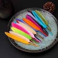 12pcs Duck Feather - Grain Duck Feather - Mini Duck Feather - Color Duck Feather - Upright Feather