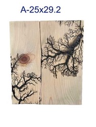 鹿角蕨上板板材/木板 日本檜木 25x29 純手工製作每張帶有不同花紋樣式