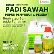 Pupuk Padi Sawah Terbaik / Pupuk Padi Sawah Terbaik / Pupuk Padi Semprot Penyubur / Pupuk Padi Peleb