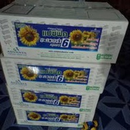 BIJI BENIH BUNGA MATAHARI