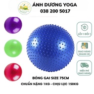 Spiked Gym Ball - Gym Ball / Yoga / Fitness