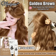 🥇Bright Hair Colour🥇Monsoon+ Profession Hair Dye Colour Organic 200ml Golden Brown Pewarna Rambut 染发