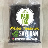 Sekam Padi bakar 1kg untuk media tanaman