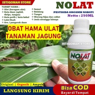 Obat Pembasmi Hama Ulat Jagung Ampuh NOLAT 250ML Pestisida Organik Nabati Obat Pembasmi Ulat Pada Ta