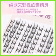 Reusable Glue Free Cluster Lashes No Glue Self Adhesive DIY Individual Lashes Natural Make Up Sof