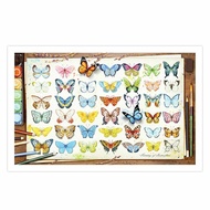 Pintoo | 2D Puzzle - 1000 PCS | Beautiful Butterflies
