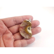 < Pan ※ Stone Art Fine Carving > § [Selected 卍 Natural Coral Ammonite Pendant]