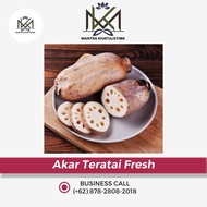 Akar Teratai / Lotus Root