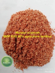 Muriate Of Potash (MOP) / 60% K2O / Potassium Chloride / Baja Tunggal