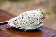 白色鼠尾草 white sage