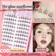 Self Adhesive Lashes 100 120 Cluster Glue Free