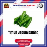 Timun Jepun/Batang(200-300gram)