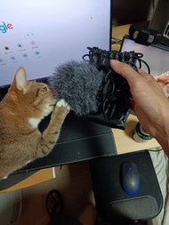 Vlog 收音咪