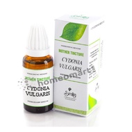 CYDONIA VULGARIS q mother tincture 120 ML