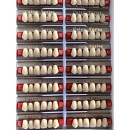 nn2 DENTAL GIGI PALSU CAIYU YUYING DEPAN ATAS 1 PAPAN