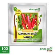Benih Cabe Merah Besar Landung / isi benih 100 biji/ Bibit cabe merah besar super benih sayuran