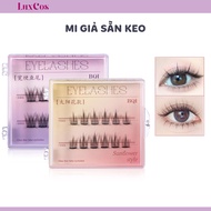False Eyelashes, Fiber Split False Eyelashes, BQI Pre-Adhesive False Eyelashes Save Time, Convenient