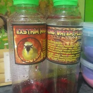 ready NEW Doping Maung Water - Merah